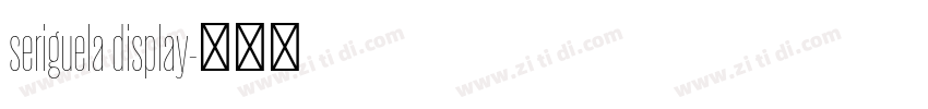 seriguela display字体转换